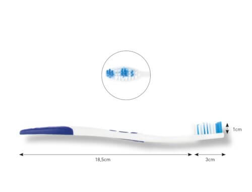 Brosses à dents jetables/Lot de 144